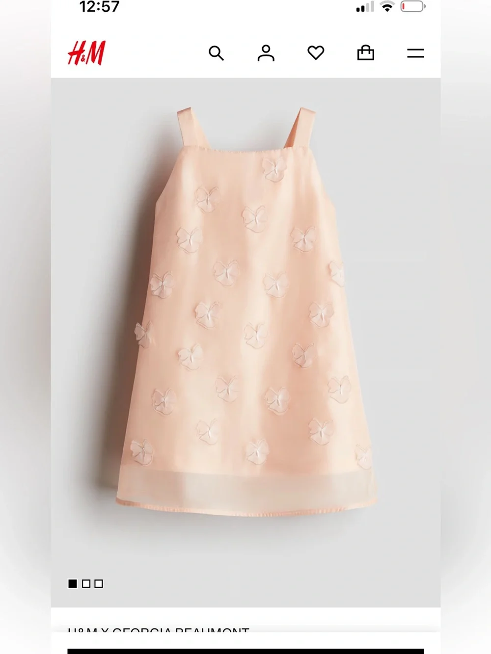 H&M Peach Pink Organza Butterfly Appliqué Dress
